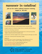 Catalina Flyer_2011_Ind vers small.jpg